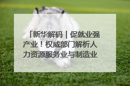 新华解码｜促就业强产业！权威部门解析人力资源服务业与制造业融合发展试点