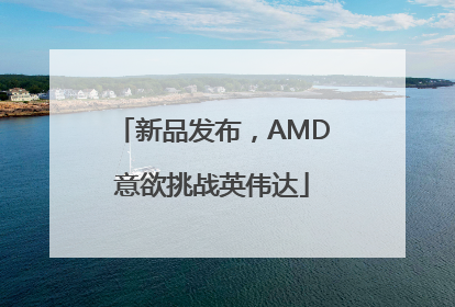 新品发布，AMD意欲挑战英伟达