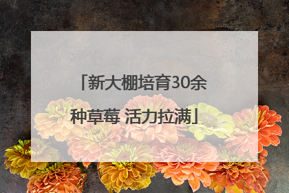 新大棚培育30余种草莓 活力拉满