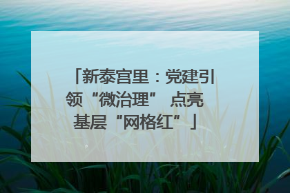 新泰宫里：党建引领“微治理” 点亮基层“网格红”