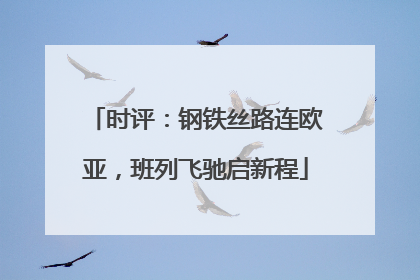 时评：钢铁丝路连欧亚，班列飞驰启新程