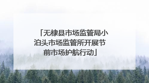 无棣县市场监管局小泊头市场监管所开展节前市场护航行动