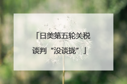 日美第五轮关税谈判“没谈拢”