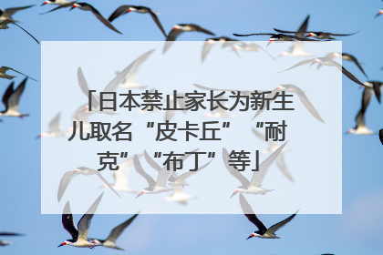 日本禁止家长为新生儿取名“皮卡丘”“耐克”“布丁”等