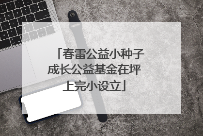 春雷公益小种子成长公益基金在坪上完小设立