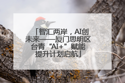 智汇两岸，AI创未来——厦门思明区台青“AI+”赋能提升计划启航