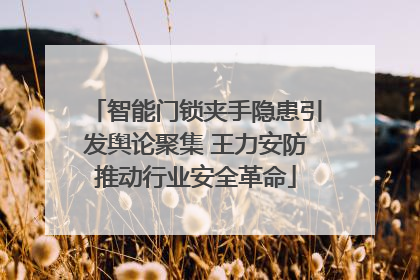 智能门锁夹手隐患引发舆论聚集 王力安防推动行业安全革命