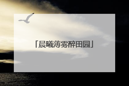 晨曦薄雾醉田园
