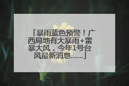 暴雨蓝色预警！广西局地有大暴雨+雷暴大风，今年1号台风最新消息……