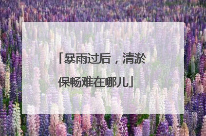 暴雨过后，清淤保畅难在哪儿