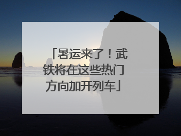 暑运来了！武铁将在这些热门方向加开列车