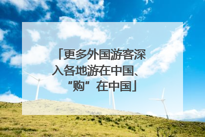 更多外国游客深入各地游在中国、“购”在中国