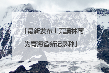 最新发布！荒漠林莺为青海省新记录种