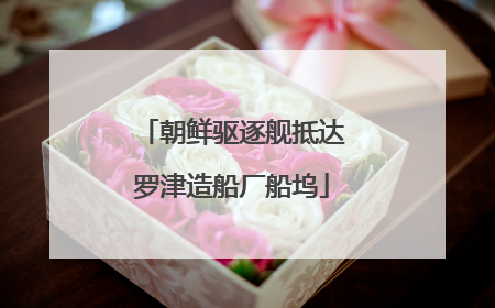 朝鲜驱逐舰抵达罗津造船厂船坞