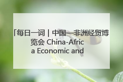 每日一词｜中国—非洲经贸博览会 China-Africa Economic and Trade Expo