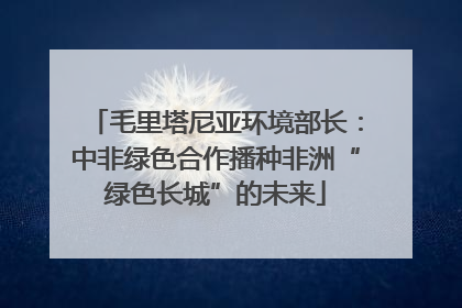 毛里塔尼亚环境部长：中非绿色合作播种非洲“绿色长城”的未来