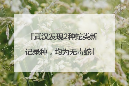 武汉发现2种蛇类新记录种，均为无毒蛇
