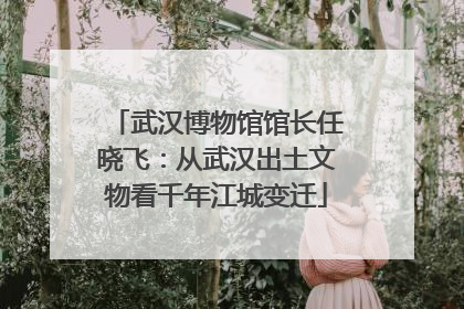 武汉博物馆馆长任晓飞：从武汉出土文物看千年江城变迁