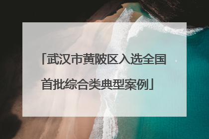 武汉市黄陂区入选全国首批综合类典型案例