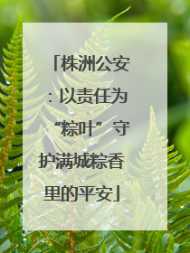 株洲公安：以责任为“粽叶”守护满城粽香里的平安
