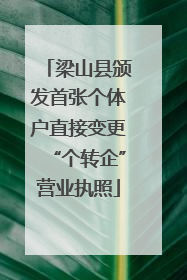 梁山县颁发首张个体户直接变更“个转企”营业执照