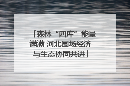 森林“四库”能量满满 河北围场经济与生态协同共进