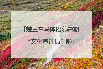 楚王车马阵招募暑期“文化宣讲员”啦
