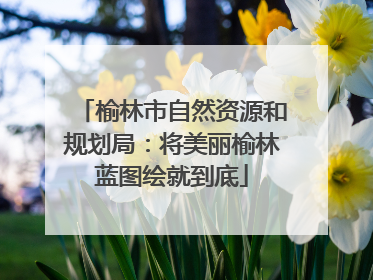 榆林市自然资源和规划局：将美丽榆林蓝图绘就到底