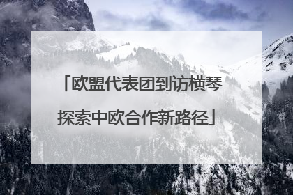 欧盟代表团到访横琴 探索中欧合作新路径