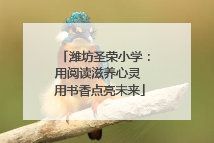 潍坊圣荣小学：用阅读滋养心灵 用书香点亮未来