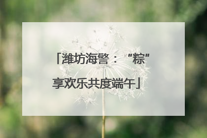 潍坊海警：“粽”享欢乐共度端午