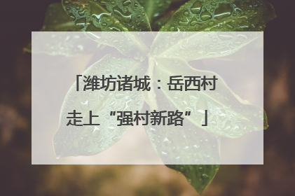 潍坊诸城：岳西村走上“强村新路”