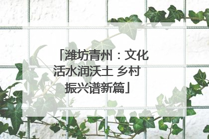 潍坊青州：文化活水润沃土 乡村振兴谱新篇