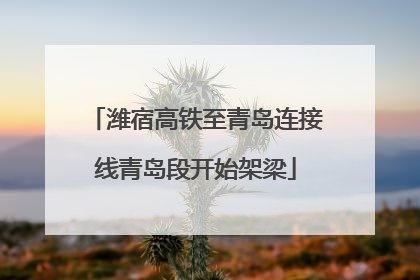 潍宿高铁至青岛连接线青岛段开始架梁