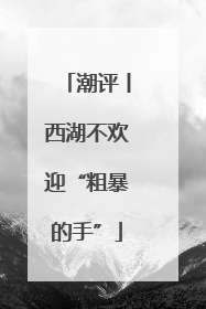 潮评丨西湖不欢迎“粗暴的手”