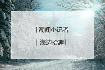 潮闻小记者｜海边拾趣
