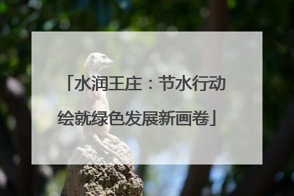 水润王庄：节水行动绘就绿色发展新画卷