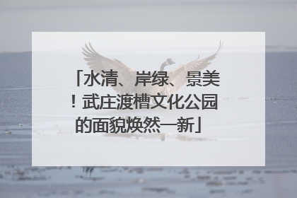 水清、岸绿、景美！武庄渡槽文化公园的面貌焕然一新