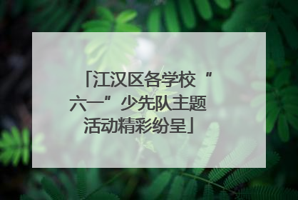 江汉区各学校“六一”少先队主题活动精彩纷呈