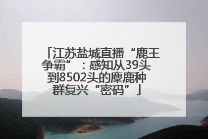 江苏盐城直播“鹿王争霸”：感知从39头到8502头的麋鹿种群复兴“密码”