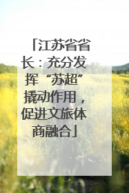 江苏省省长：充分发挥“苏超”撬动作用，促进文旅体商融合