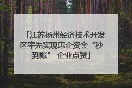 江苏扬州经济技术开发区率先实现惠企资金“秒到账” 企业点赞