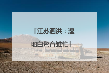 江苏泗洪：湿地白鹭育雏忙