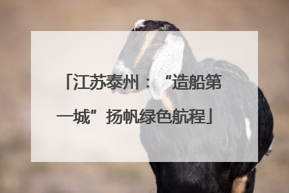 江苏泰州：“造船第一城”扬帆绿色航程