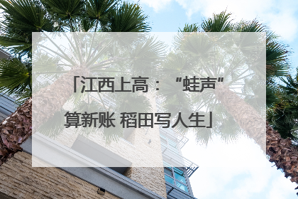 江西上高：“蛙声”算新账 稻田写人生