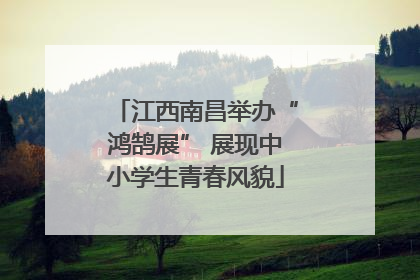 江西南昌举办“鸿鹄展” 展现中小学生青春风貌