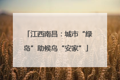 江西南昌：城市“绿岛”助候鸟“安家”