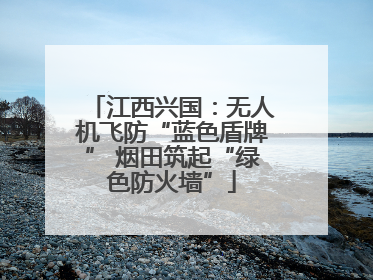 江西兴国：无人机飞防“蓝色盾牌” 烟田筑起“绿色防火墙”