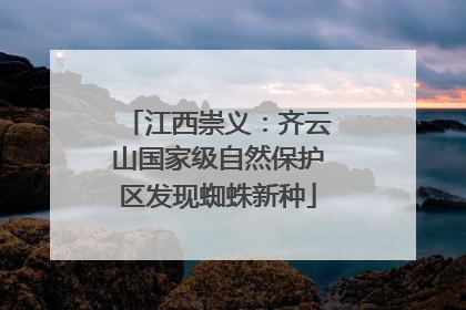 江西崇义：齐云山国家级自然保护区发现蜘蛛新种