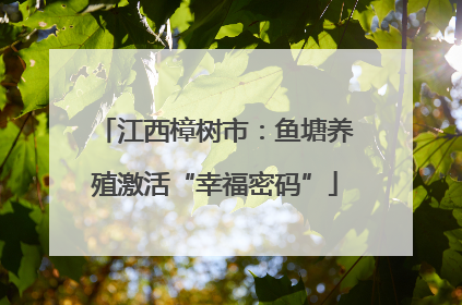 江西樟树市：鱼塘养殖激活“幸福密码”